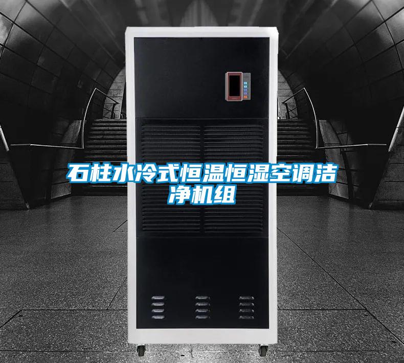 欧美黄色性爱视频网站 石柱水冷式恒温恒湿空调洁净机组
