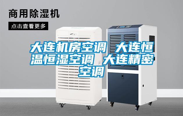 欧美黄色性爱视频网站 大连机房空调 大连恒温恒湿空调 大连精密空调