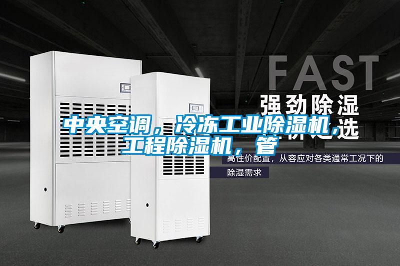 欧美成色手机在线观看 中央空调，冷冻工业除湿机，工程除湿机，管