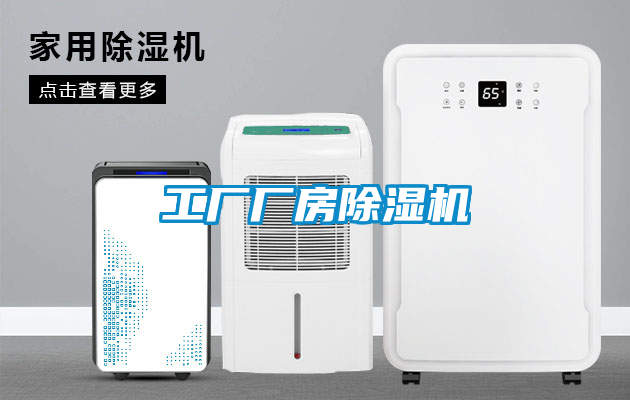 欧美黄色性爱视频网站 工厂厂房除湿机