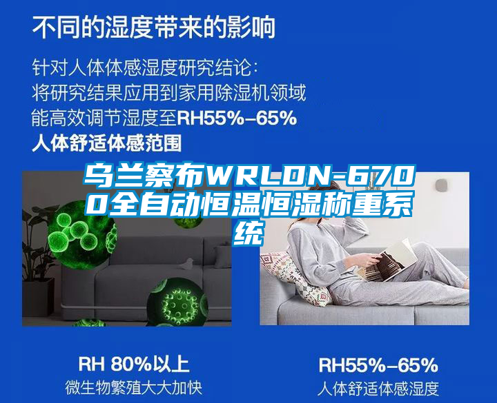欧美黄色电影在线播放 乌兰察布WRLDN-6700全自动恒温恒湿称重系统