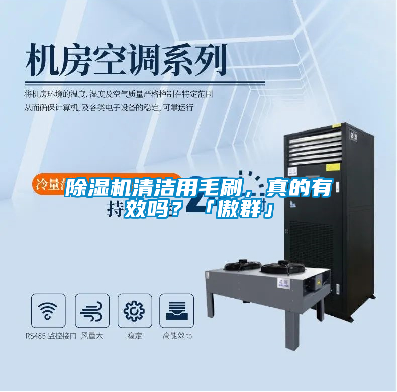 欧美黄色性爱视频网站 除湿机清洁用毛刷，真的有效吗？「傲群」