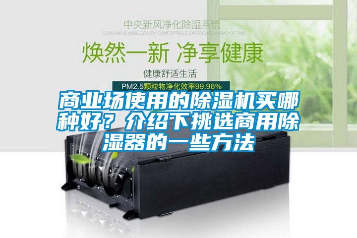 欧美成色手机在线观看 商业场使用的除湿机买哪种好？介绍下挑选商用除湿器的一些方法