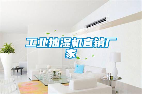 欧美成色手机在线观看 工业抽湿机直销厂家