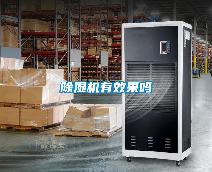 欧美黄色电影在线播放 除湿机有效果吗
