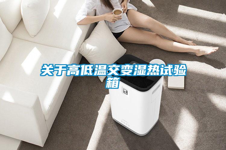 欧美黄色性爱视频网站 关于高低温交变湿热试验箱