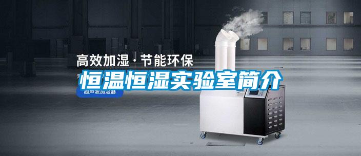 欧美黄色性爱视频网站 恒温恒湿实验室简介