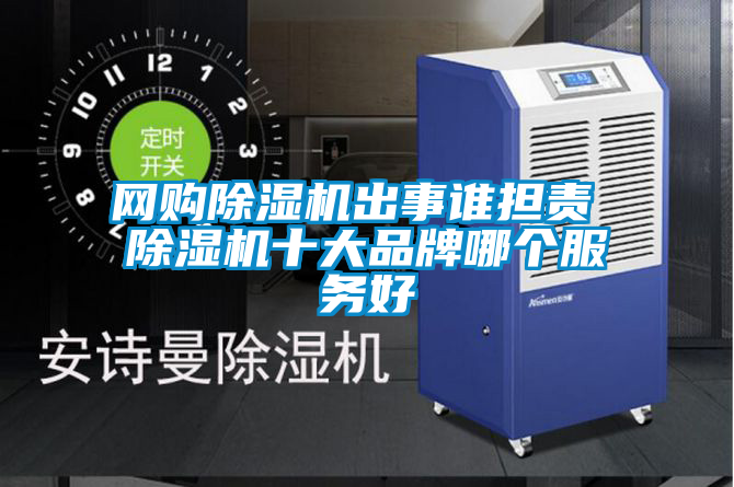 欧美黄色性爱视频网站 网购除湿机出事谁担责 除湿机十大品牌哪个服务好