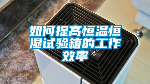 欧美黄色性爱视频网站 如何提高恒温恒湿试验箱的工作效率