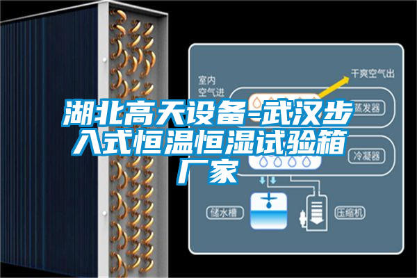 欧美黄色电影在线播放 湖北高天设备-武汉步入式恒温恒湿试验箱厂家
