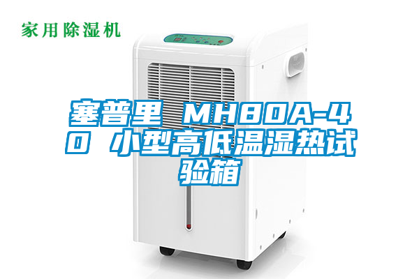 欧美黄色电影在线播放 塞普里 MH80A-40 小型高低温湿热试验箱