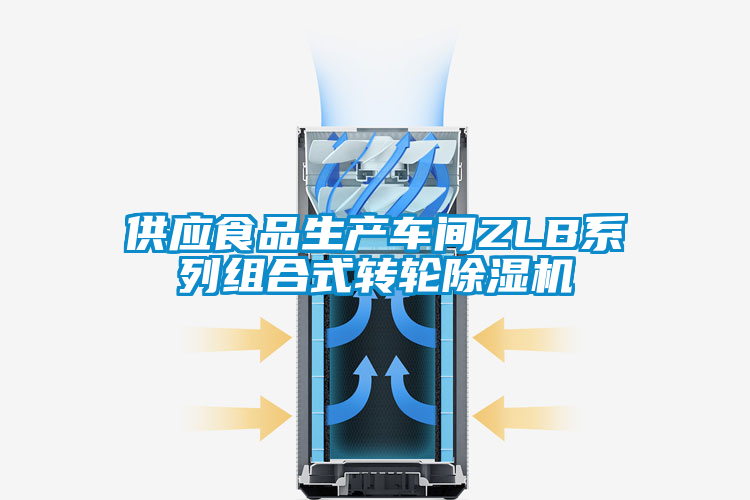欧美黄色电影在线播放 供应食品生产车间ZLB系列组合式转轮除湿机