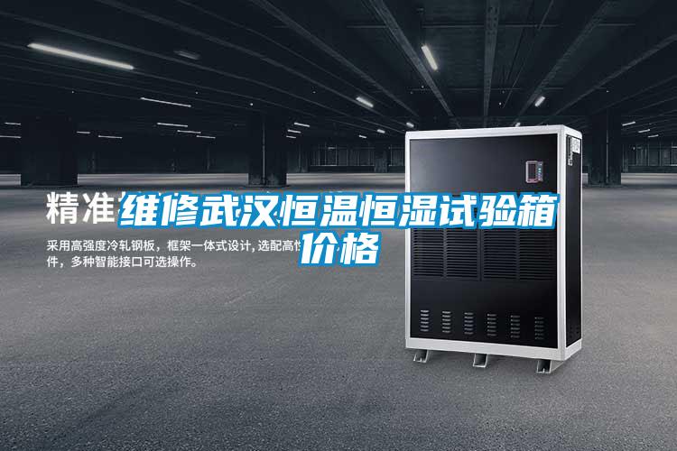 欧美成色手机在线观看 维修武汉恒温恒湿试验箱价格