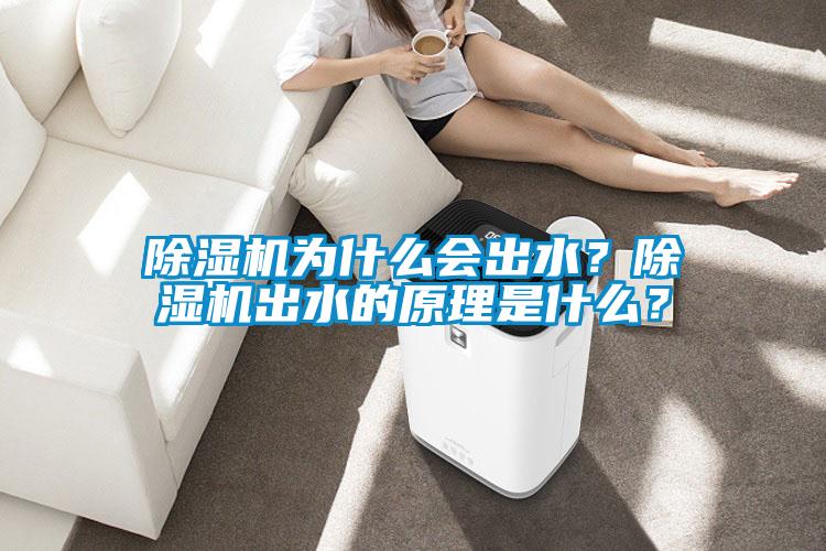 欧美成色手机在线观看 除湿机为什么会出水？除湿机出水的原理是什么？