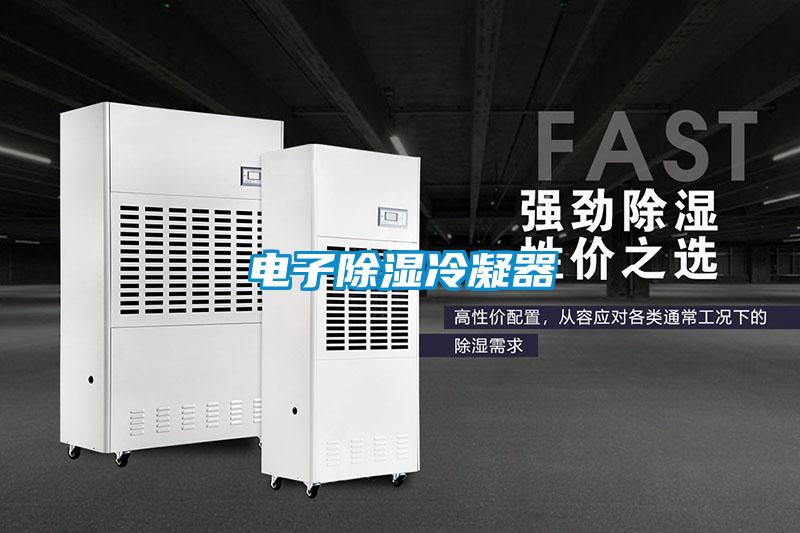 欧美黄色性爱视频网站 电子除湿冷凝器