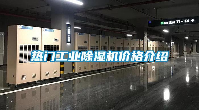 欧美成色手机在线观看 热门工业除湿机价格介绍