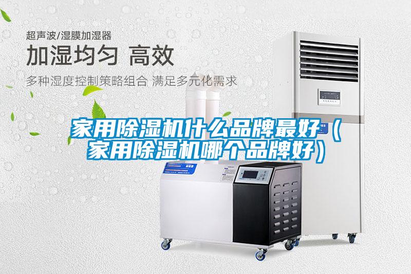 欧美黄色电影在线播放 家用除湿机什么品牌最好（家用除湿机哪个品牌好）