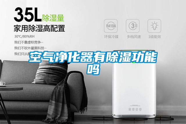欧美黄色性爱视频网站 空气净化器有除湿功能吗