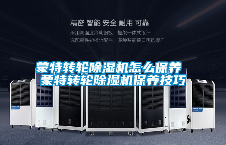 欧美黄色电影在线播放 蒙特转轮除湿机怎么保养 蒙特转轮除湿机保养技巧
