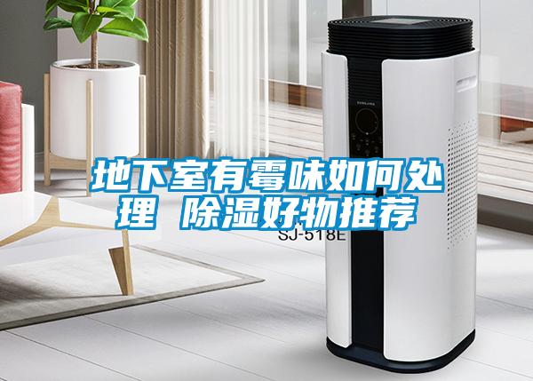 欧美黄色性爱视频网站 地下室有霉味如何处理 除湿好物推荐
