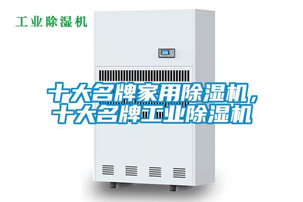 欧美黄色电影在线播放 十大名牌家用除湿机，十大名牌工业除湿机