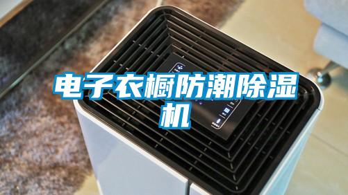 欧美黄色性爱视频网站 电子衣橱防潮除湿机