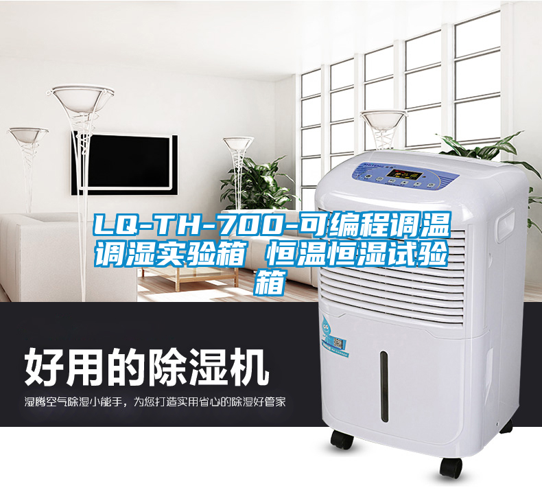 欧美成色手机在线观看 LQ-TH-700-可编程调温调湿实验箱 恒温恒湿试验箱