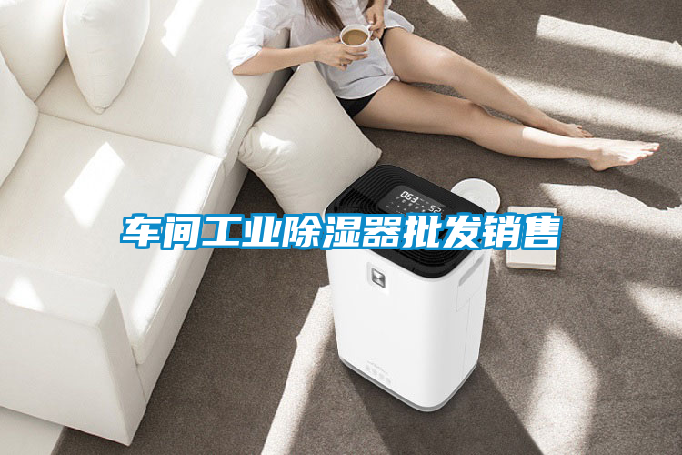 欧美成色手机在线观看 车间工业除湿器批发销售