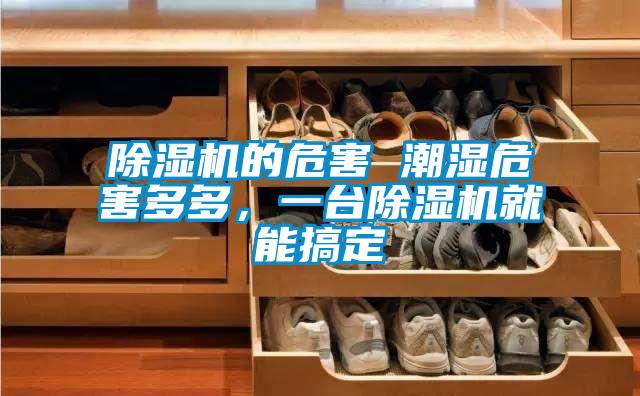 欧美成色手机在线观看 除湿机的危害 潮湿危害多多，一台除湿机就能搞定