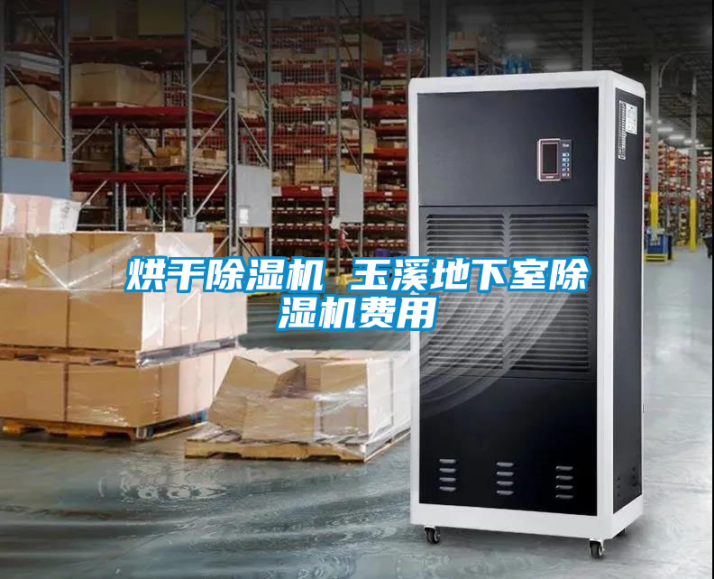 欧美黄色电影在线播放 烘干除湿机 玉溪地下室除湿机费用