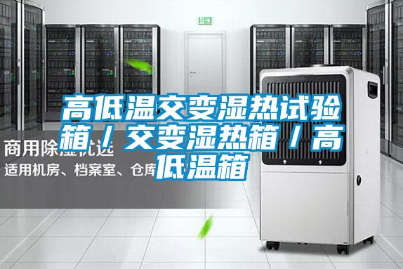 欧美黄色电影在线播放 高低温交变湿热试验箱／交变湿热箱／高低温箱