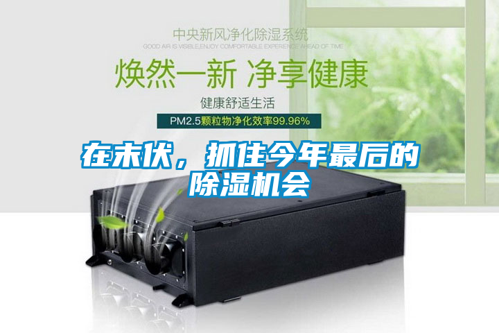 欧美黄色性爱视频网站 在末伏，抓住今年最后的除湿机会