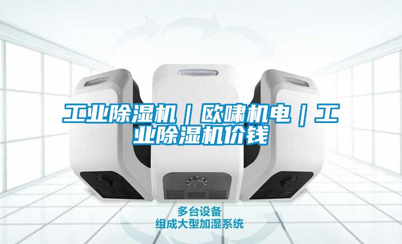 欧美黄色电影在线播放 工业除湿机｜欧啸机电｜工业除湿机价钱