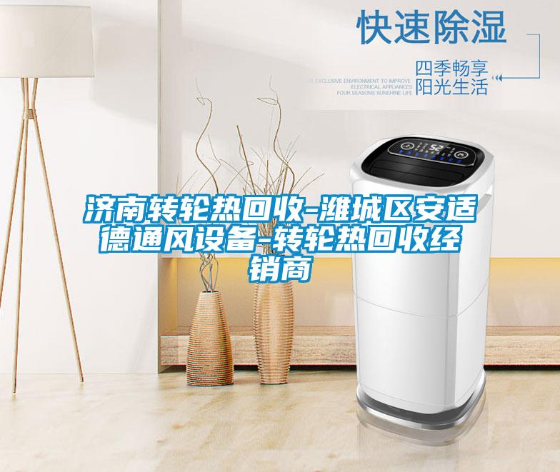 欧美黄色电影在线播放 济南转轮热回收-潍城区安适德通风设备-转轮热回收经销商