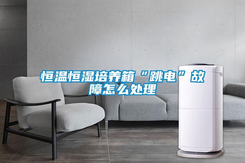 欧美黄色电影在线播放 恒温恒湿培养箱“跳电”故障怎么处理