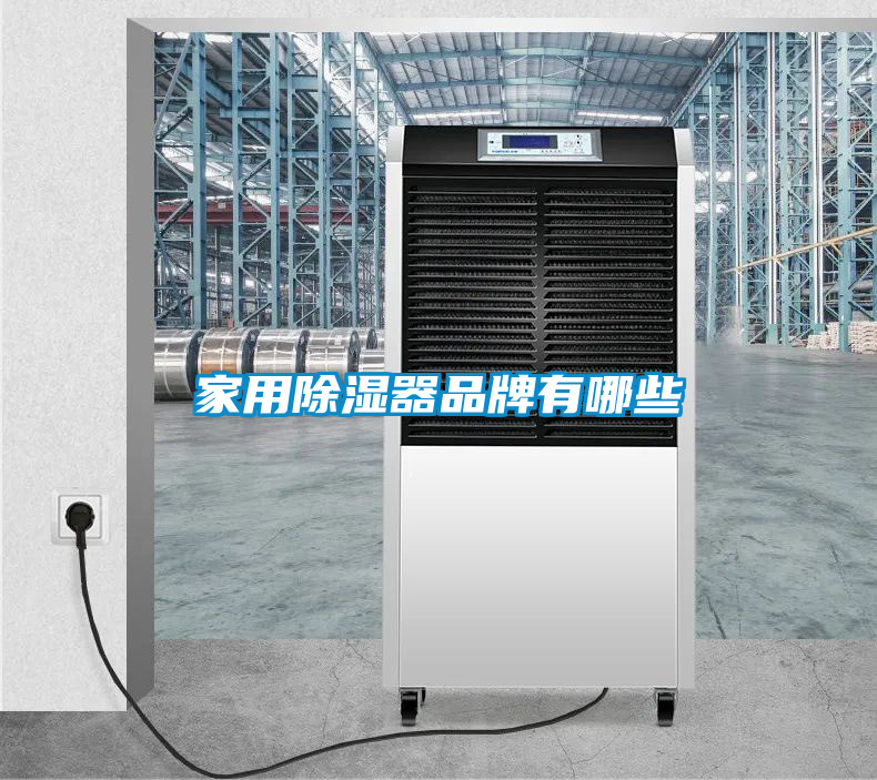欧美成色手机在线观看 家用除湿器品牌有哪些