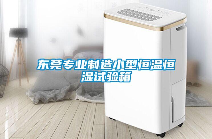 欧美黄色电影在线播放 东莞专业制造小型恒温恒湿试验箱
