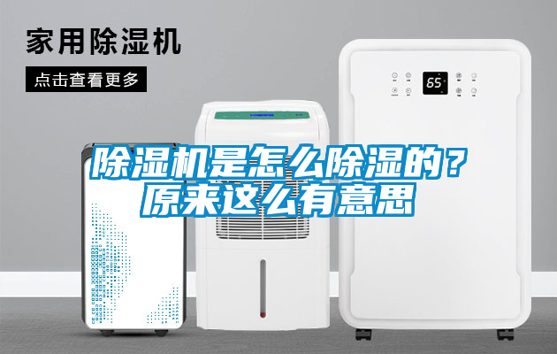 欧美黄色性爱视频网站 除湿机是怎么除湿的？原来这么有意思
