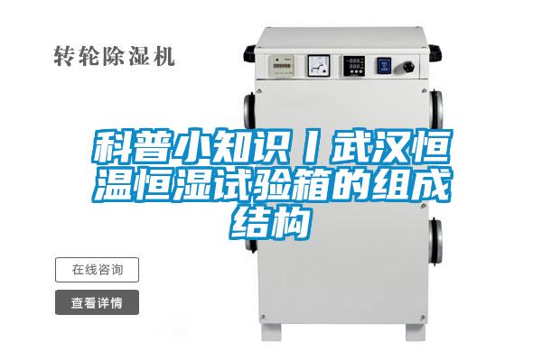 欧美黄色电影在线播放 科普小知识丨武汉恒温恒湿试验箱的组成结构