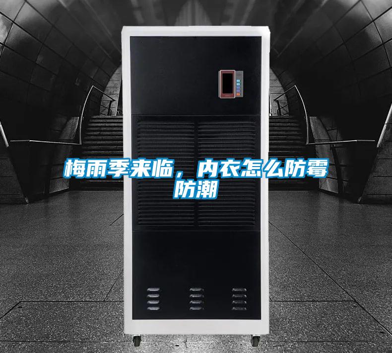 欧美成色手机在线观看 梅雨季来临，内衣怎么防霉防潮