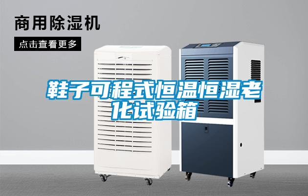 欧美黄色性爱视频网站 鞋子可程式恒温恒湿老化试验箱