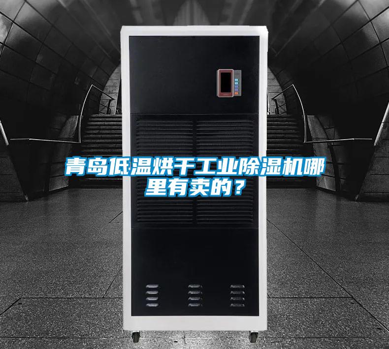 欧美黄色电影在线播放 青岛低温烘干工业除湿机哪里有卖的？
