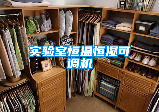 欧美黄色电影在线播放 实验室恒温恒湿可调机
