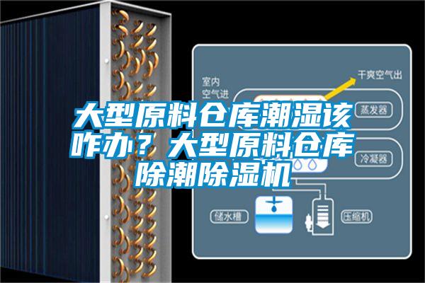 欧美黄色电影在线播放 大型原料仓库潮湿该咋办？大型原料仓库除潮除湿机