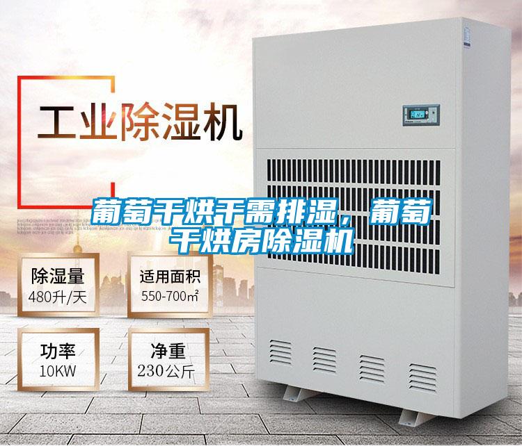 欧美成色手机在线观看 葡萄干烘干需排湿，葡萄干烘房除湿机