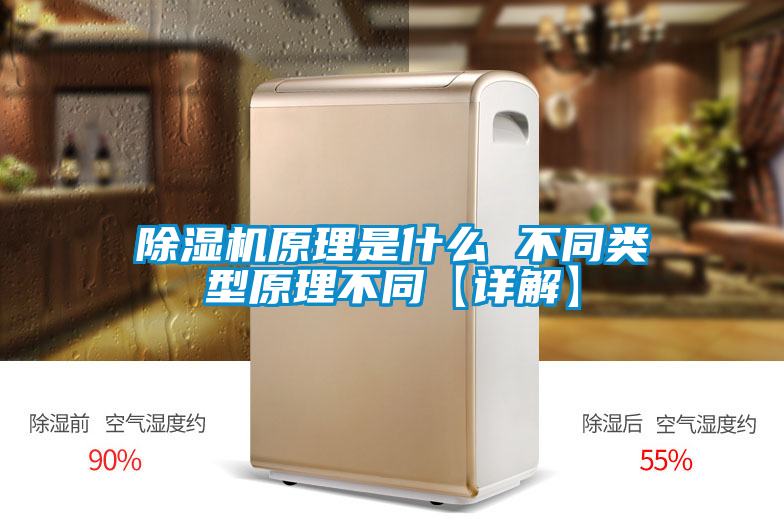 欧美黄色电影在线播放 除湿机原理是什么 不同类型原理不同【详解】