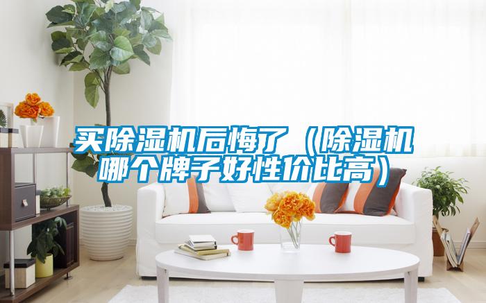 欧美黄色性爱视频网站 买除湿机后悔了（除湿机哪个牌子好性价比高）