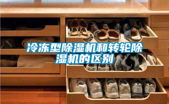 欧美黄色电影在线播放 冷冻型除湿机和转轮除湿机的区别