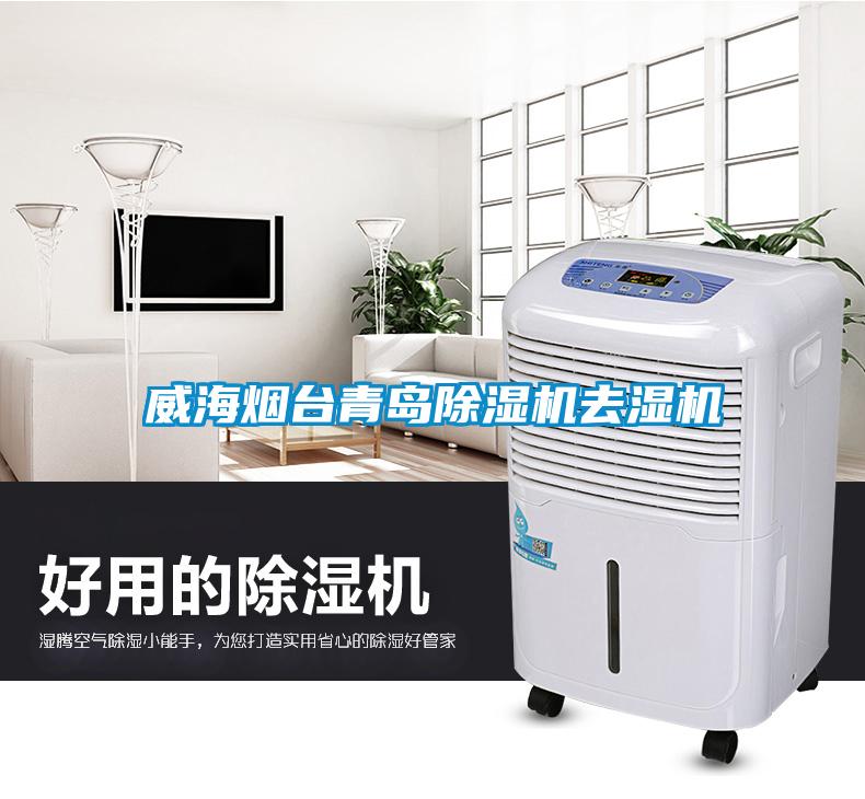 欧美黄色性爱视频网站 威海烟台青岛除湿机去湿机