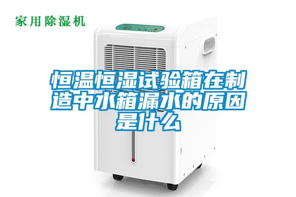 欧美黄色性爱视频网站 恒温恒湿试验箱在制造中水箱漏水的原因是什么